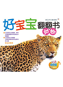 動物