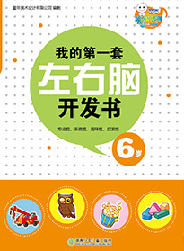 我的第一套左右腦開發(fā)書 6歲