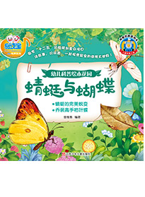 蜻蜓與蝴蝶